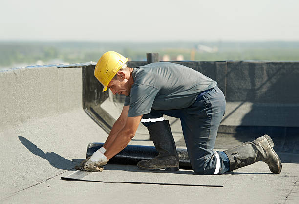 Best DIY Insulation Kits and Guidance in Elberta, AL